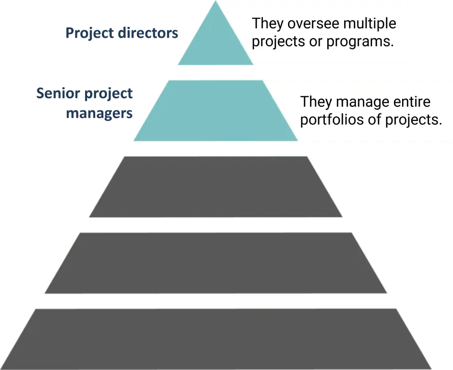 Project management senior roles Pyramid showing senior roles on top: Directors oversee projects, Senior Managers handle project portfolios.